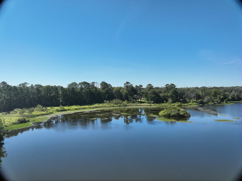 LiveWork-Est1_67ft_S_photo at Live Oak Trail, Jacksonville, FL 32225