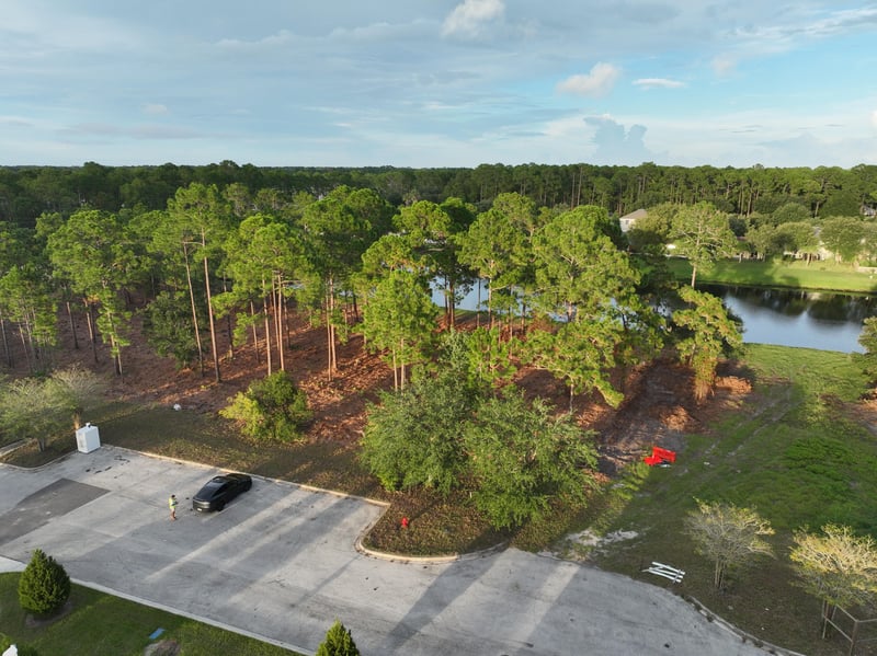Ground-level view of the parking area and tree-lined parcel at 4900 US-1, St. Augustine, FL 32086