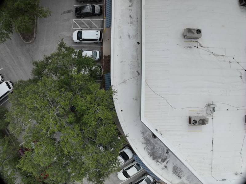 Aerial view of oak tree canopy and rooftop edge at 9406 Atlantic Blvd, Jacksonville, FL 32225