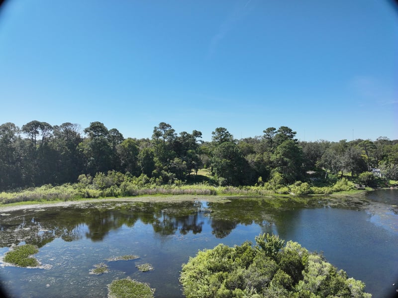 Pavilion_60ft_S_photo at Live Oak Trail, Jacksonville, FL 32225