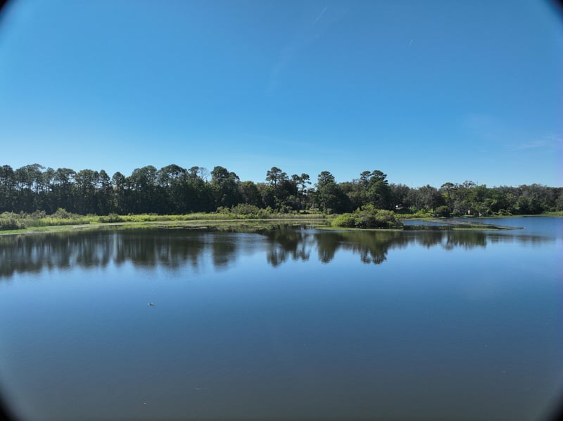Founders-Res7_20ft_S_photo at Live Oak Trail, Jacksonville, FL 32225
