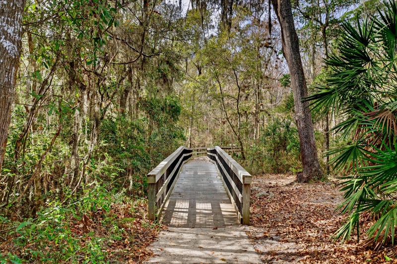 Wooden boardwalk through a wooded trail in Whisper Creek