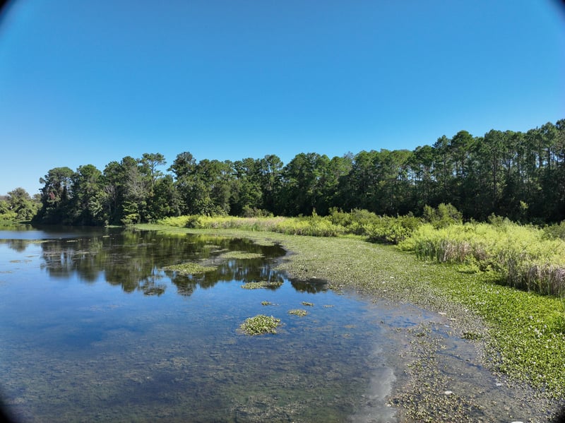 Promenade-Rep_17ft_NE_photo at Live Oak Trail, Jacksonville, FL 32225