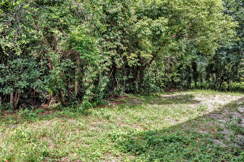 Photo 20 of 1682 Hiram St, Jacksonville, FL 32209, photographed by Megapixeler