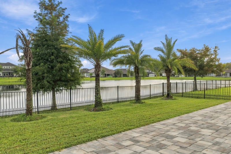 Backyard with palm trees and fenced border at 3921 Spyglass Hill Ln