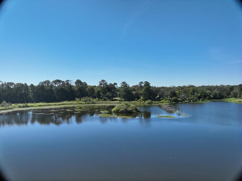 Founders-Rep_55ft_S_photo at Live Oak Trail, Jacksonville, FL 32225