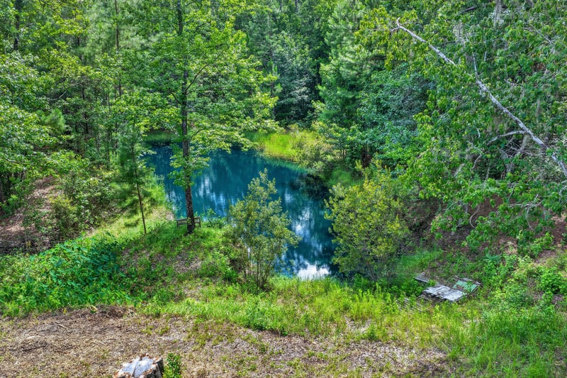 Aerial view of a blue pond surrounded by trees in Middleburg, FL
