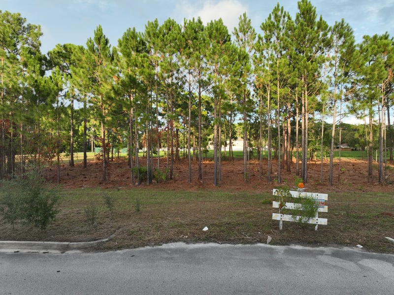 Ground-level view of the wooded parcel with boundary fence markers at 4900 US-1, St. Augustine, FL 32086