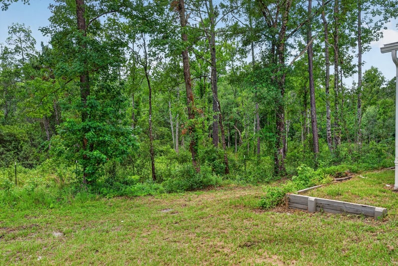 Wooded grass area on the property at 4890 McAllister Rd, Middleburg, FL 32068