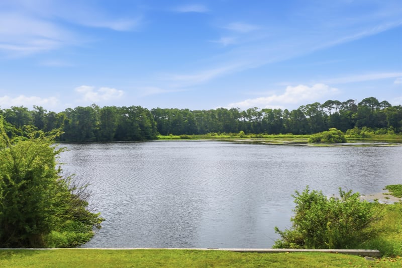 Photo 5 of Live Oak Trail, Jacksonville, FL 32225, photographed by Megapixeler