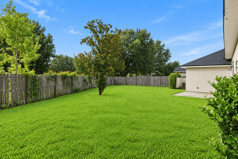 Backyard lawn with wood privacy fence at 14187 Big Spring St, Jacksonville, FL 32258
