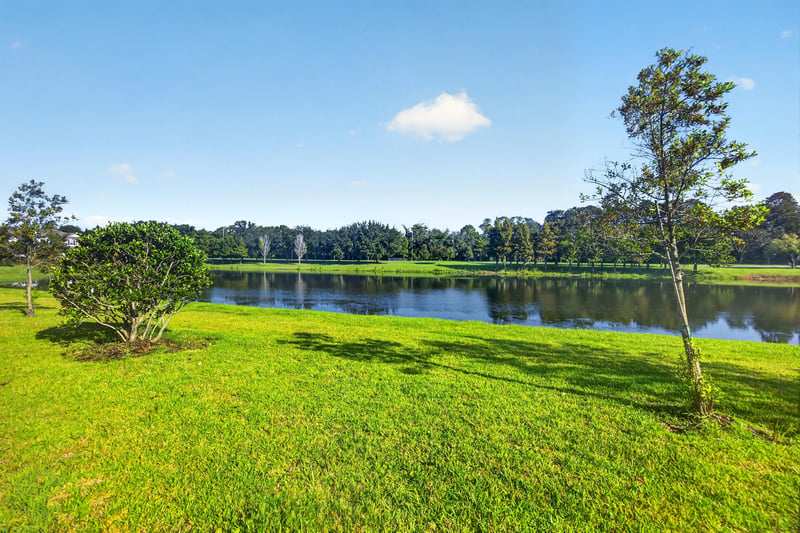 Pond view with grass and trees near 339 Anthony Dr, Jacksonville, FL