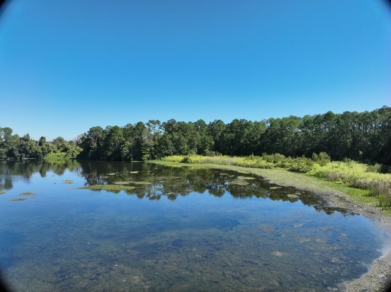 Promenade-Res6_30ft_NE_photo at Live Oak Trail, Jacksonville, FL 32225