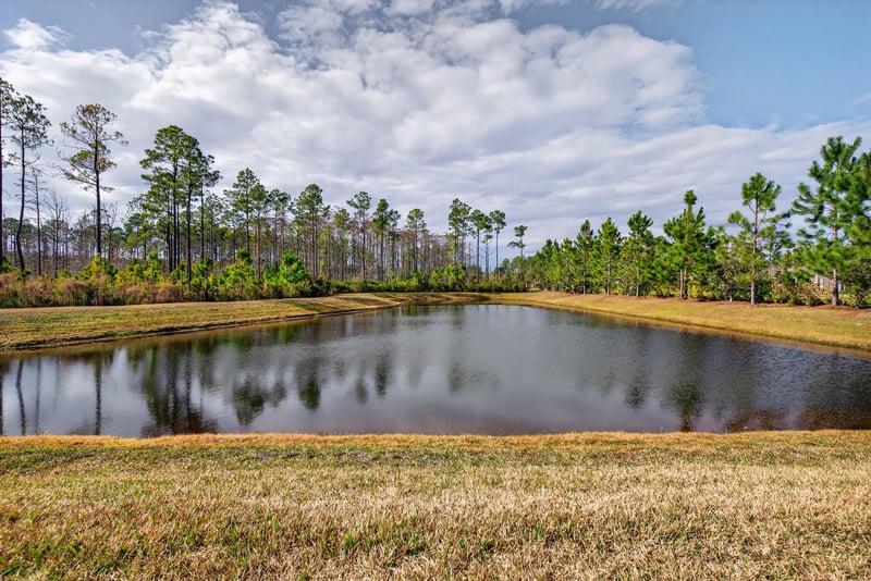 Photo 50 of 34 Timber Lgt Trl, Nocatee, FL 32081, photographed by Megapixeler