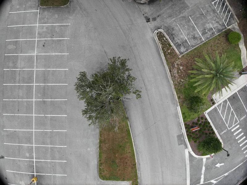 Aerial view of landscaped median with oak tree at 9406 Atlantic Blvd, Jacksonville, FL 32225