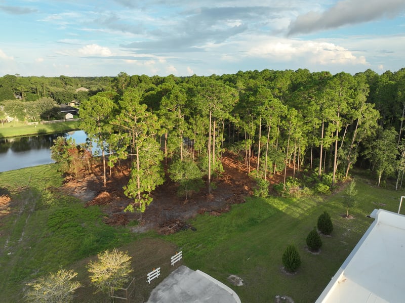 Ground-level view of the wooded lot beside a pond at 4900 US-1, St. Augustine, FL 32086