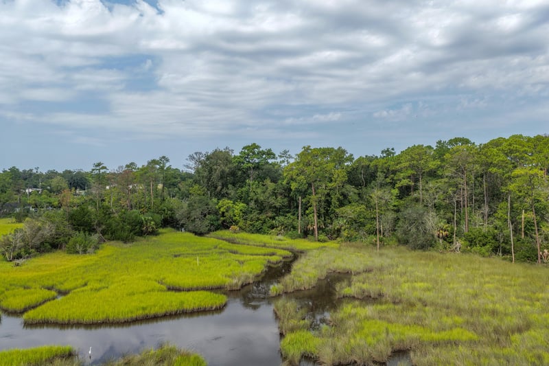 Aerial view of marsh grass and open sky at 1818 Elm St, Jacksonville, FL 32208