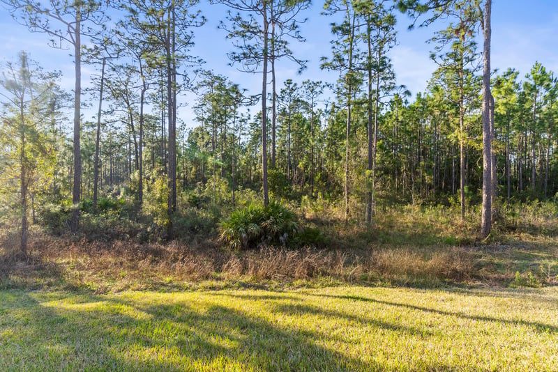 Photo 32 of 6415 Autumn Berry Cir, Jacksonville, FL 32258, photographed by Megapixeler