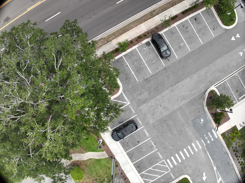 Aerial view of oak tree canopy over parking lot at 9406 Atlantic Blvd, Jacksonville, FL 32225