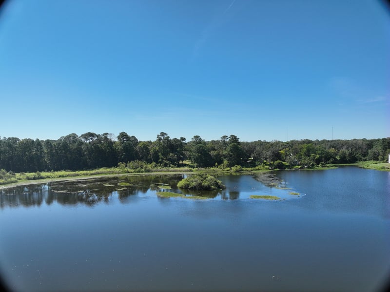 Founders-Rep_67ft_S_photo at Live Oak Trail, Jacksonville, FL 32225