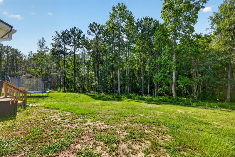 Aerial view of the wooded lot at 2817 Camel Cir, Middleburg, FL