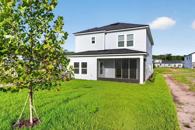 Rear exterior with newly planted trees and lawn at 269 Bluegrass Wy, St. Augustine, FL 32092
