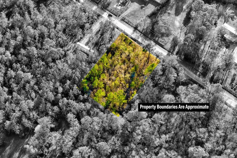 Lot Evidenced at 10250 Zigler Ave, Hastings, FL 32145