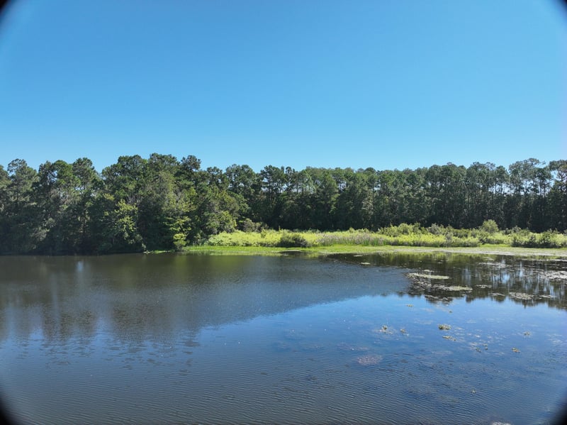 Pavilion_30ft_E_photo at Live Oak Trail, Jacksonville, FL 32225