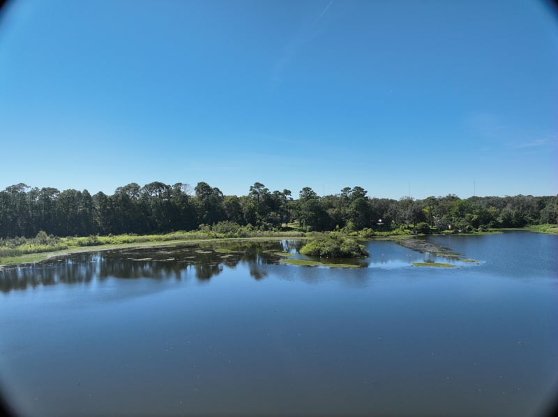 Founders-Res6_55ft_S_photo at Live Oak Trail, Jacksonville, FL 32225