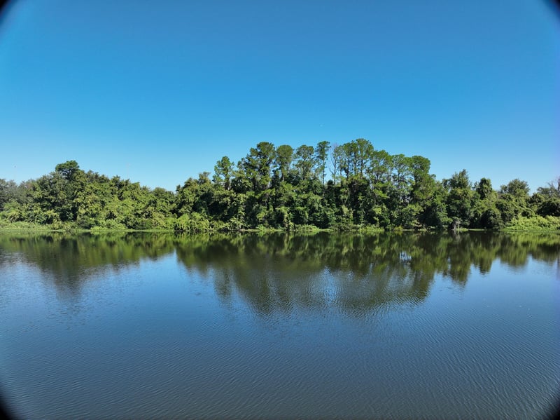 Pavilion_20ft_N_photo at Live Oak Trail, Jacksonville, FL 32225