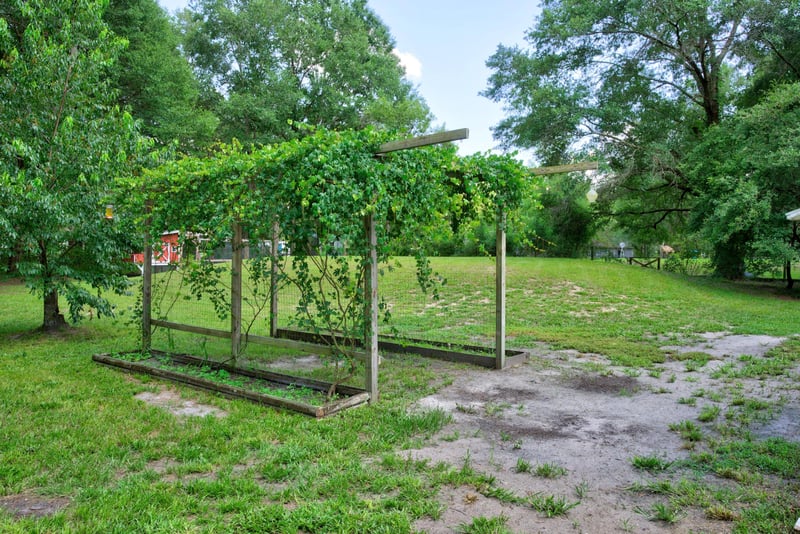 Pergola-style arbor in the yard at 2549 Snapdragon Ave, Middleburg, FL 32068