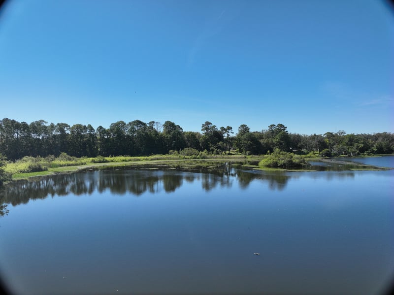 LiveWork-Est1_32ft_S_photo at Live Oak Trail, Jacksonville, FL 32225