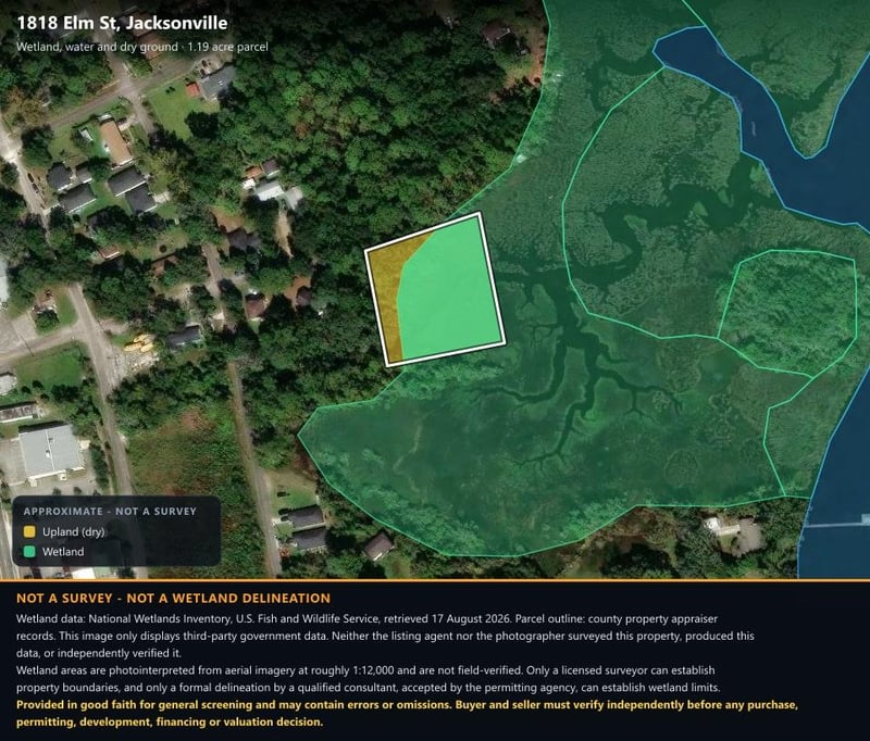 Land rendering showing upland and wetland boundary lines at 1818 Elm St, Jacksonville, FL 32208