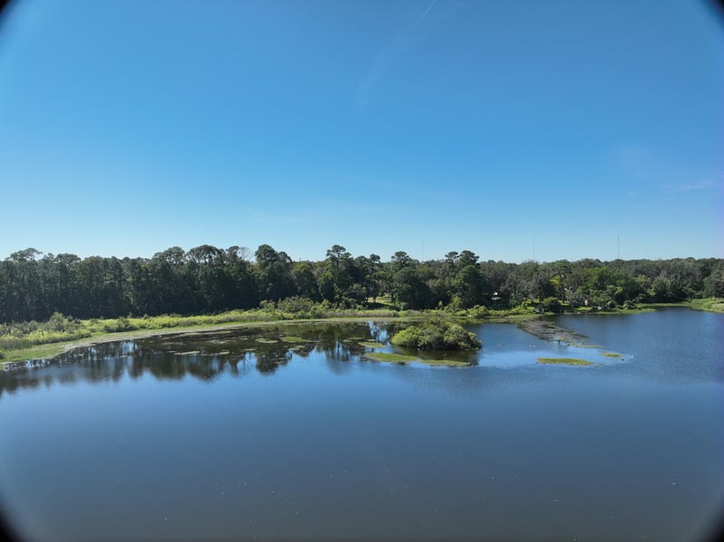Founders-Res6_67ft_S_photo at Live Oak Trail, Jacksonville, FL 32225
