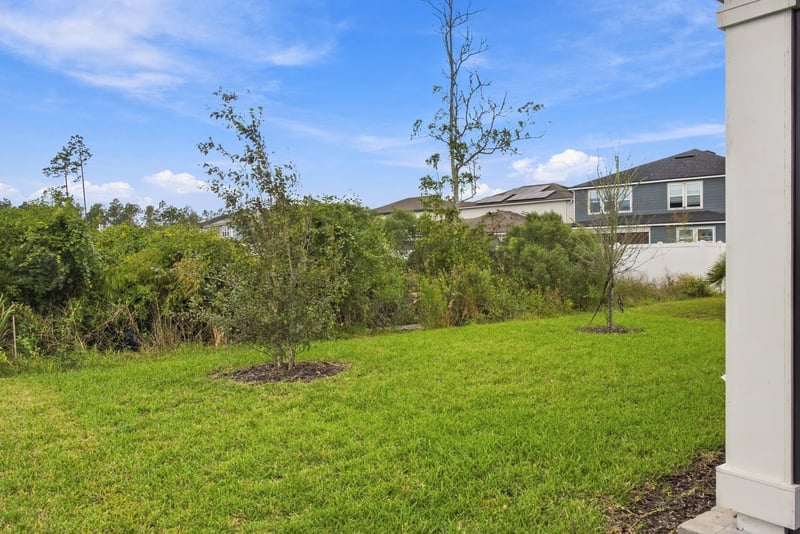Backyard and lot view, photographed by Megapixeler on Torres Trace, St. Augustine