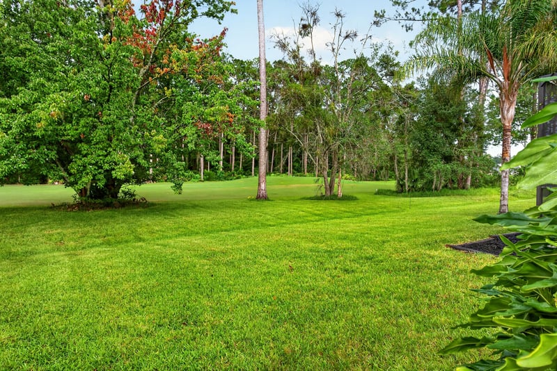 Backyard lawn with trees at 2304 Spring Hill Ct, Orange Park, FL