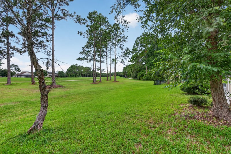 Backyard tree line and open lawn at 4109 Eagle Landing Pkwy, Orange Park, FL 32065