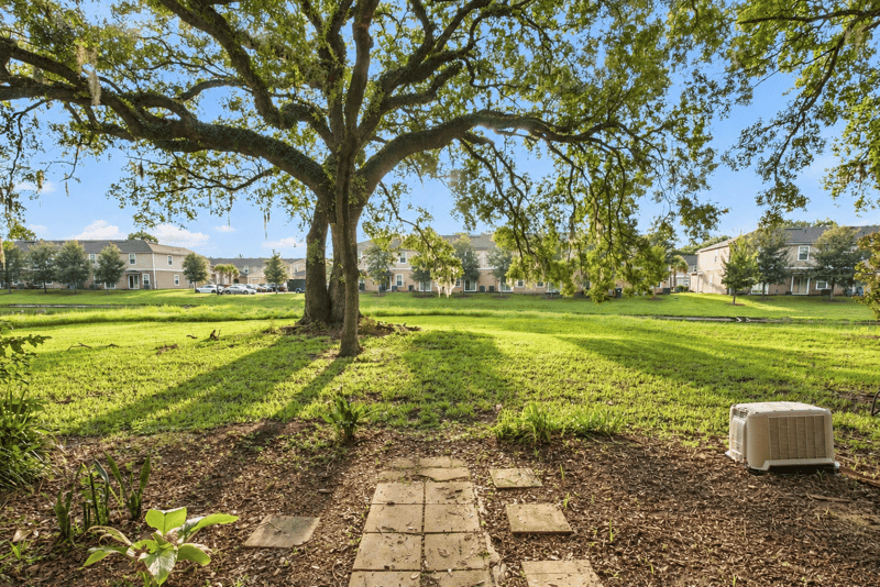 Backyard with large oak tree and lawn at 7703 Las Palmas Way