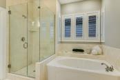 Main Bath Shower