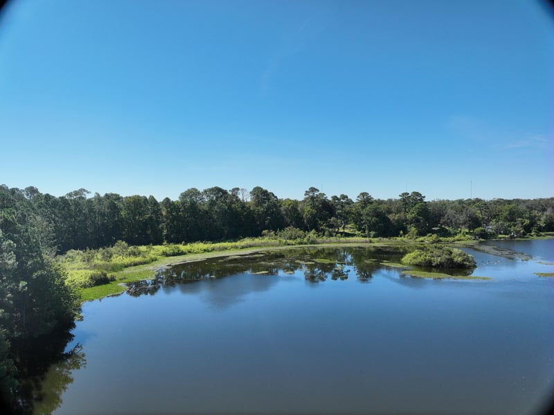 LiveWork-Est2_67ft_S_photo at Live Oak Trail, Jacksonville, FL 32225