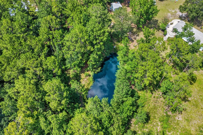 Aerial view of a wooded pond in Middleburg, FL