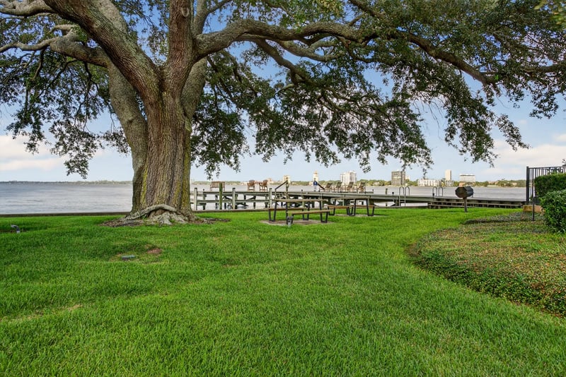 Photo 33 of 1568 Palm Ave, Jacksonville, FL 32207, photographed by Megapixeler