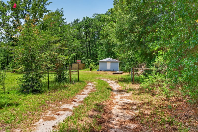 Dirt path leading to a small shed through trees at 4890 McAllister Rd, Middleburg, FL 32068
