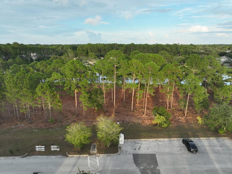 Ground-level view of the wooded parcel and parking lot edge at 4900 US-1, St. Augustine, FL 32086