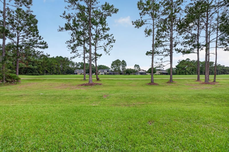 Open green space behind the home at 4109 Eagle Landing Pkwy, Orange Park, FL 32065