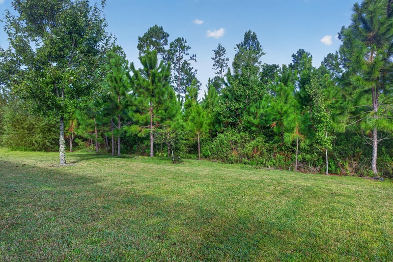 Backyard with grass lawn and tree line at 75875 Saffron Ln, Yulee, FL 32097