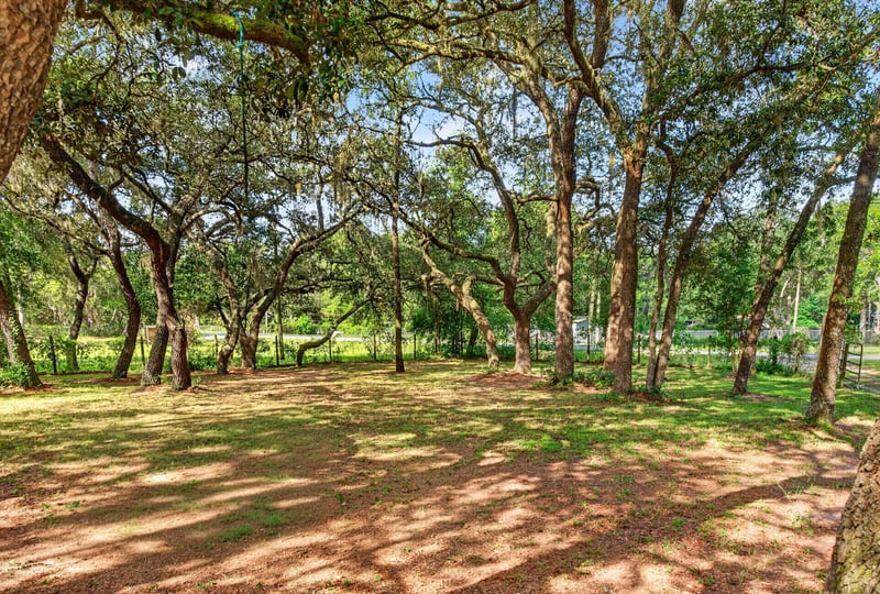 Shaded yard with mature trees at 3215 Robin Ln, Middleburg, FL