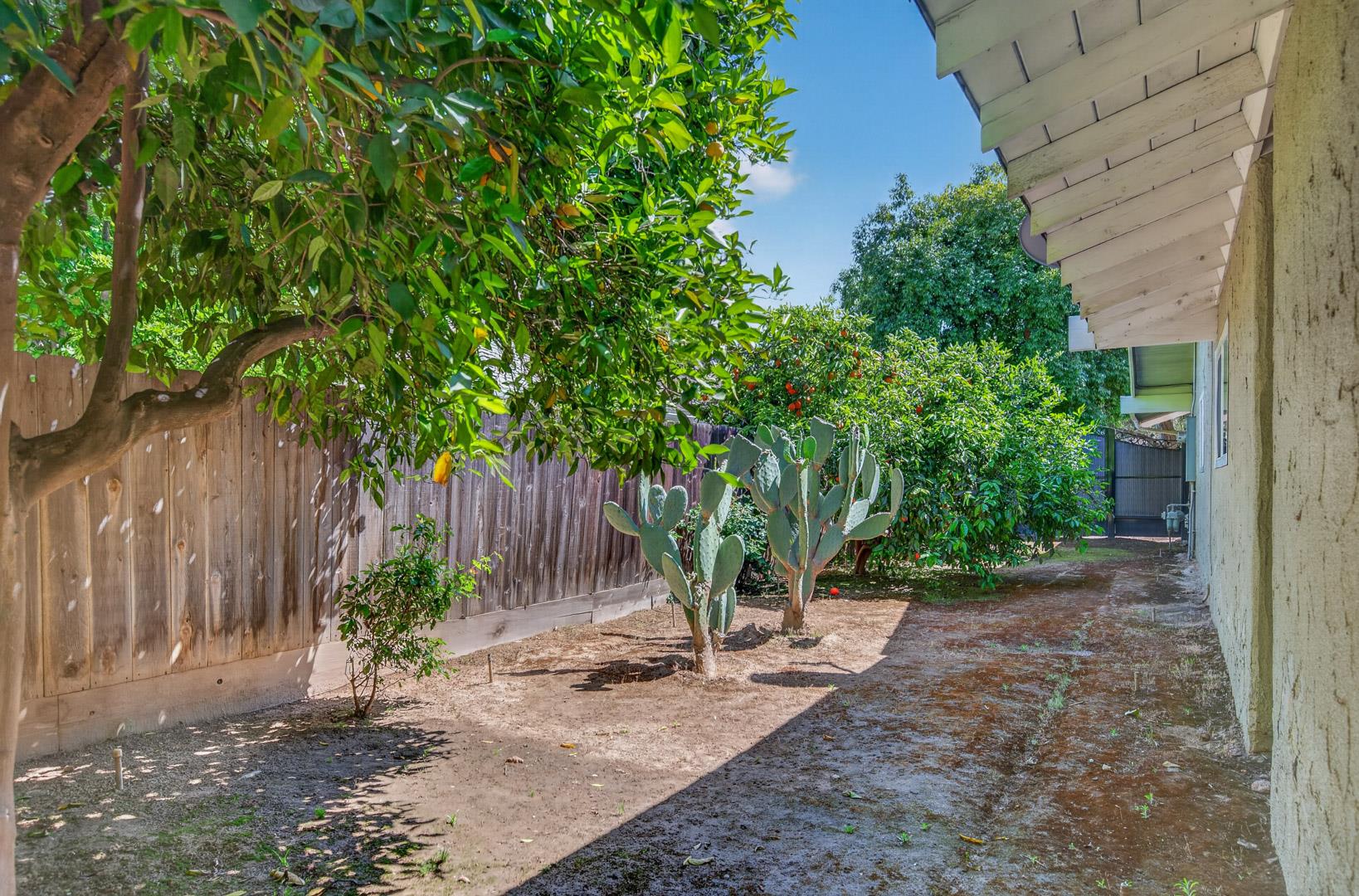 3132 W Alluvial Ave, photo 59