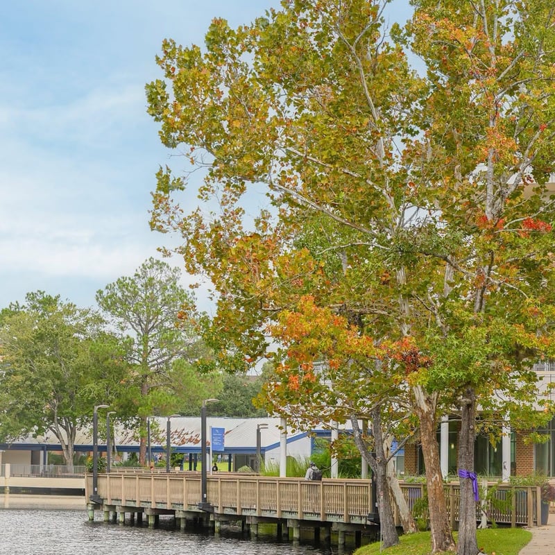 Tree-lined campus pathway in Jacksonville