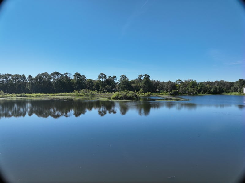 Founders-Rep_20ft_S_photo at Live Oak Trail, Jacksonville, FL 32225